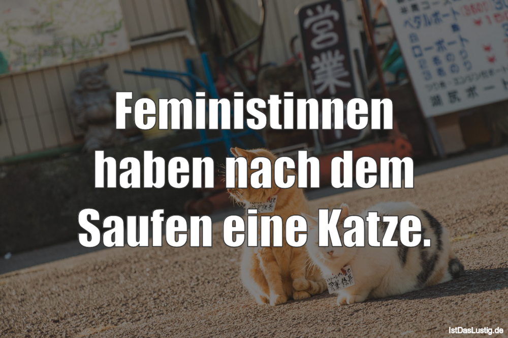 Lustiger BilderSpruch - Feministinnen haben nach dem Saufen eine Katze.