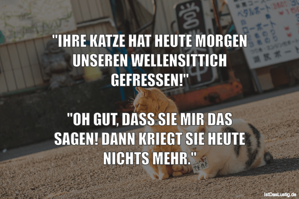 Lustiger BilderSpruch - "IHRE KATZE HAT HEUTE MORGEN UNSEREN WELLENSITT...