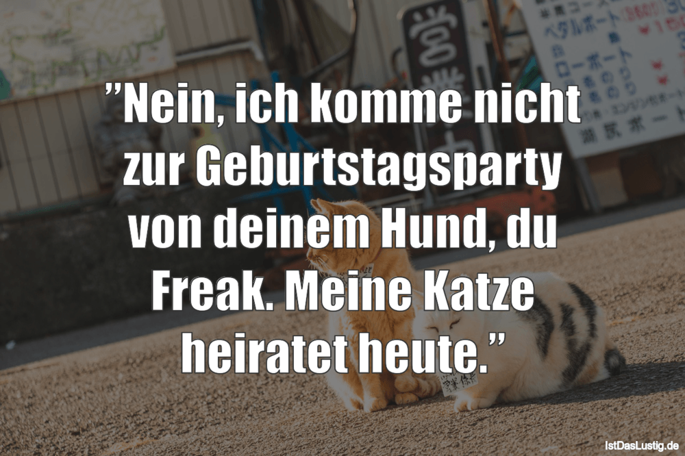 Personalisiere Unsere Auswahl An Videovorlagen Fur Geburtstage Von