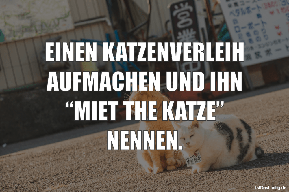 Lustiger BilderSpruch - EINEN KATZENVERLEIH AUFMACHEN UND IHN “MIET THE...