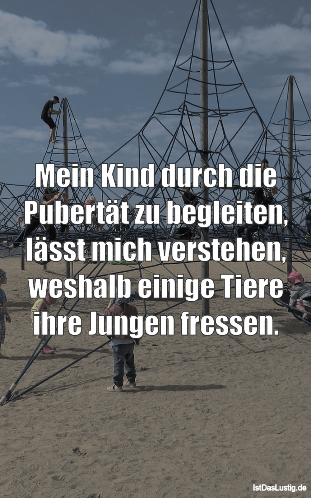 Die Besten 6 Pubertat Spruche Auf Istdaslustig De