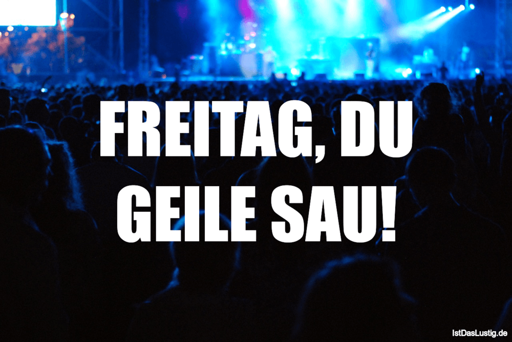 Freitag Du Geile Sau Istdaslustig De
