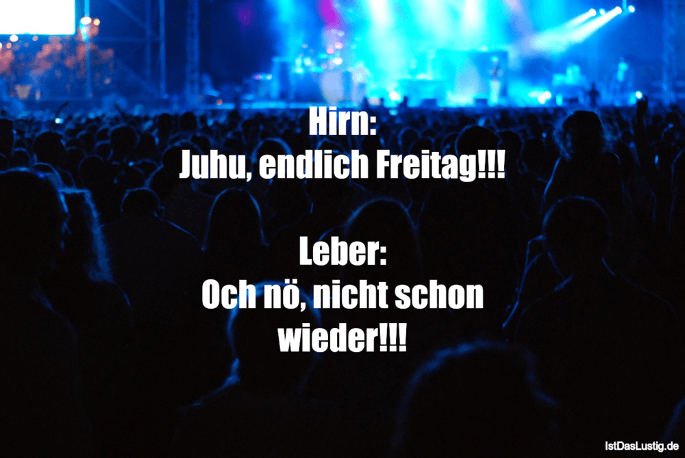 Lustiger BilderSpruch - Hirn: Juhu, endlich Freitag!!!  Leber: Och nö, ...