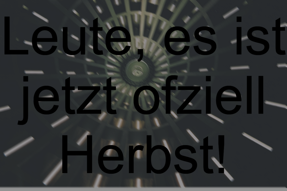 Profilbild whatsapp lustiges für Die Top