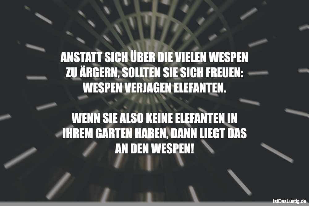 Lustiger BilderSpruch - ANSTATT SICH ÜBER DIE VIELEN WESPEN ZU ÄRGERN, ...