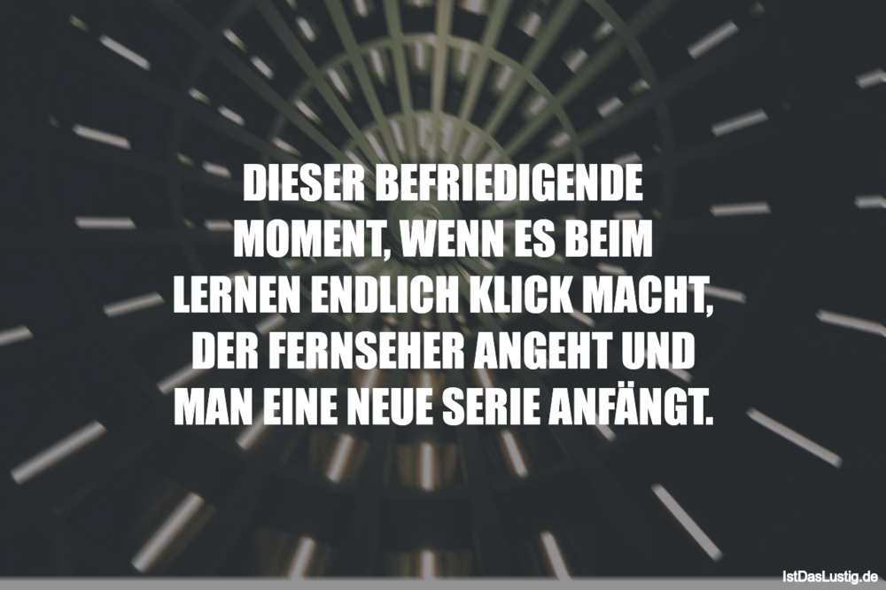 Lustiger BilderSpruch - DIESER BEFRIEDIGENDE MOMENT, WENN ES BEIM LERNE...