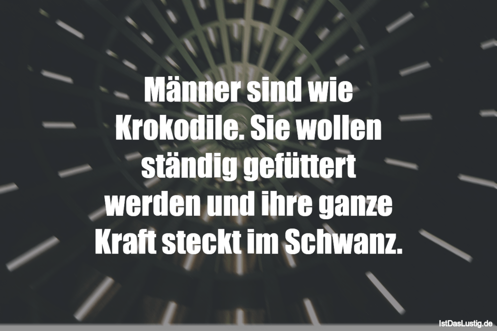 Lustiger BilderSpruch - Männer sind wie Krokodile. Sie wollen ständig...