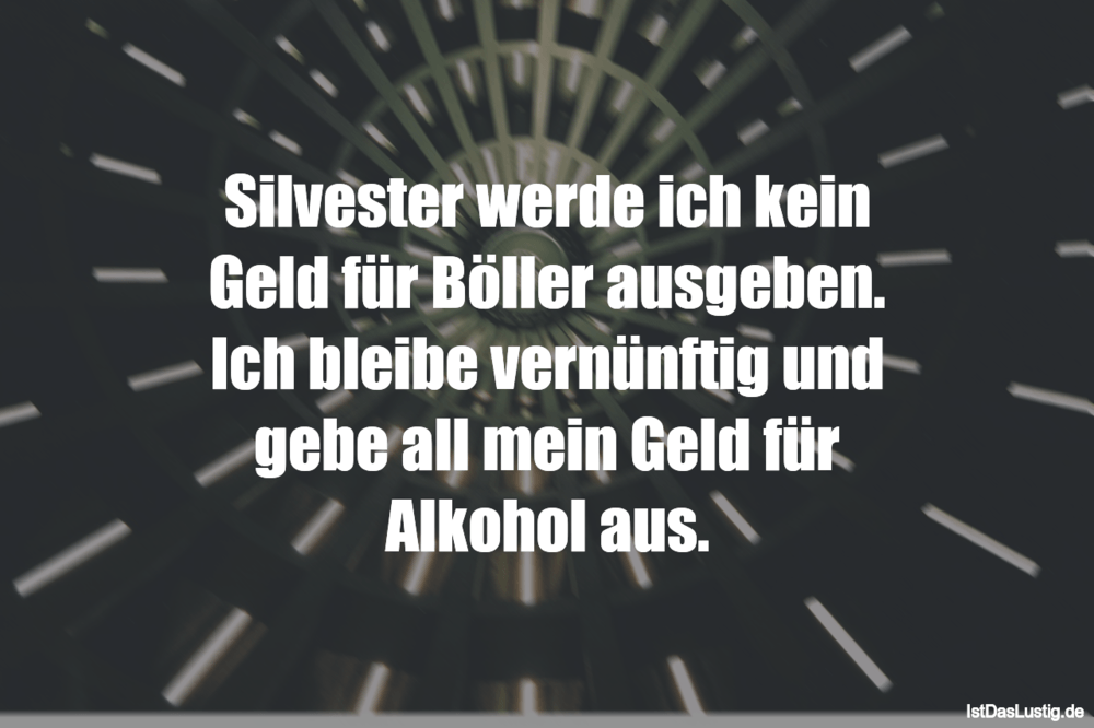 Lustiger BilderSpruch - Silvester werde ich kein Geld für Böller ausgeb...