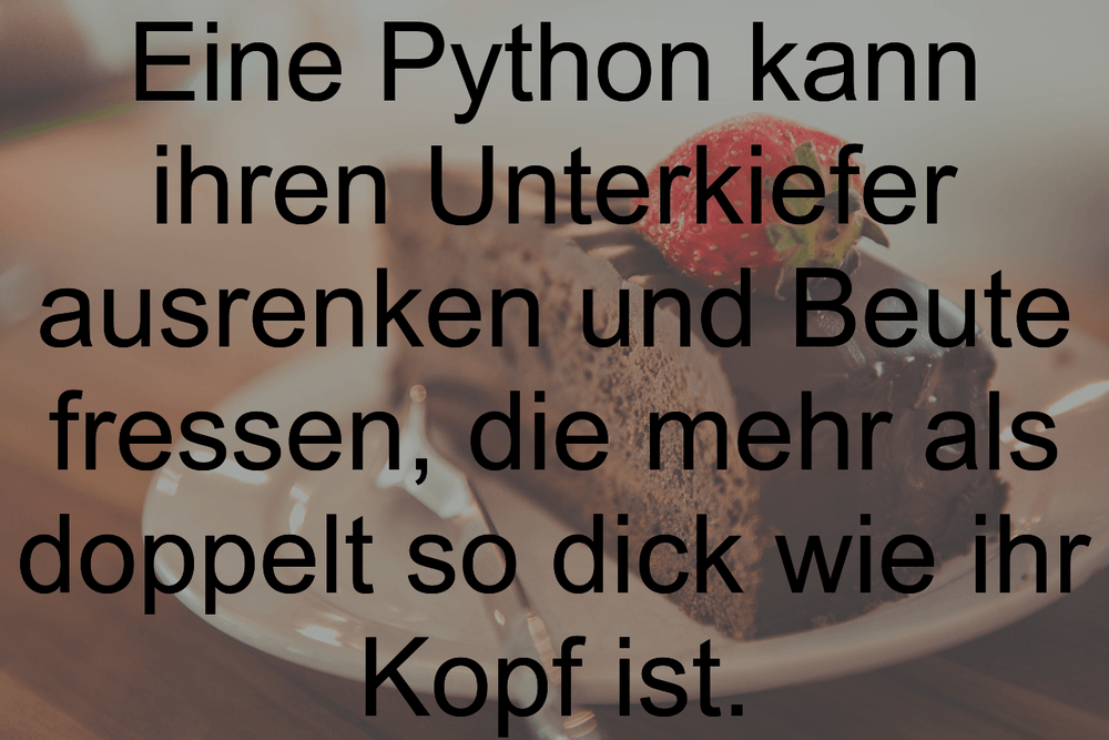 Essenspruche Pdf The Language Of Food 2020 04 27