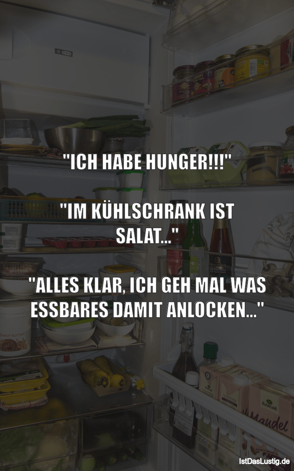 Lustiger BilderSpruch - "ICH HABE HUNGER!!!"  "IM KÜHLSCHRANK IST SALAT...