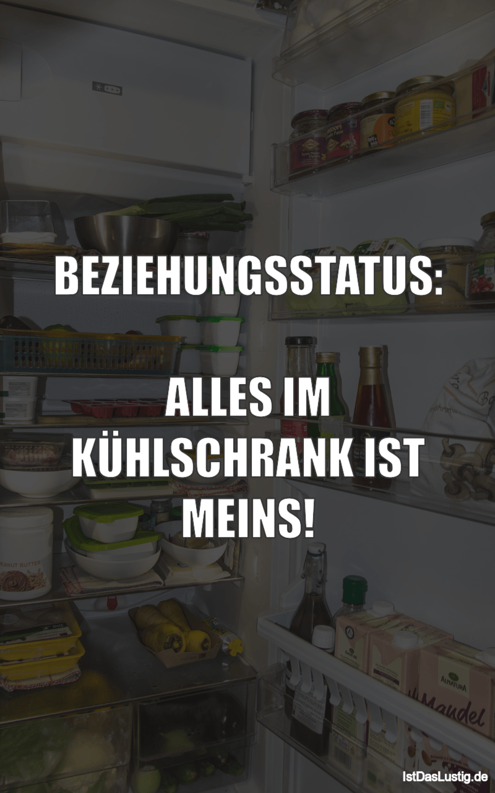 Lustiger BilderSpruch - BEZIEHUNGSSTATUS:  ALLES IM KÜHLSCHRANK IST MEINS!