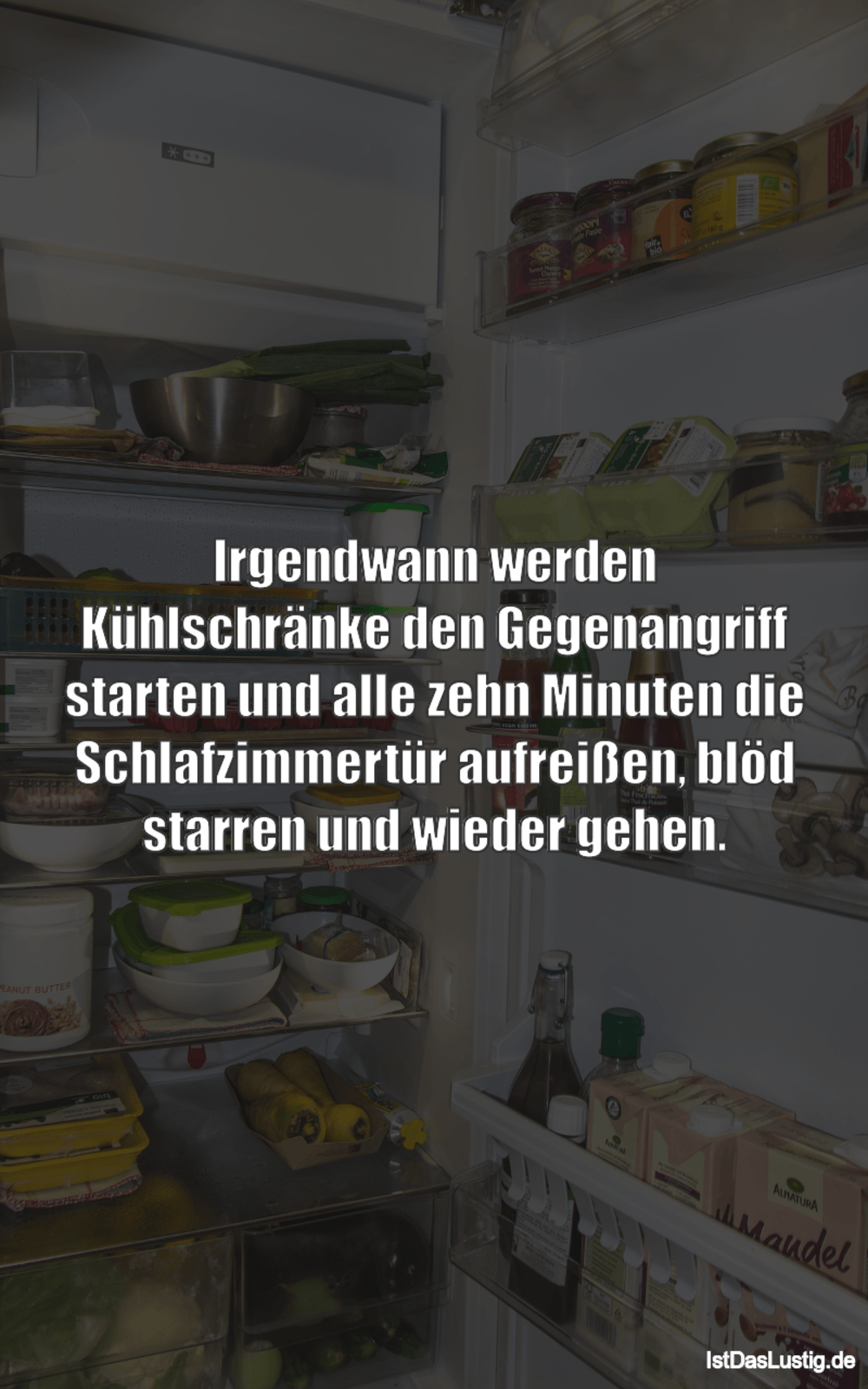 Die Besten 28 Kuhlschrank Spruche Auf Istdaslustig De