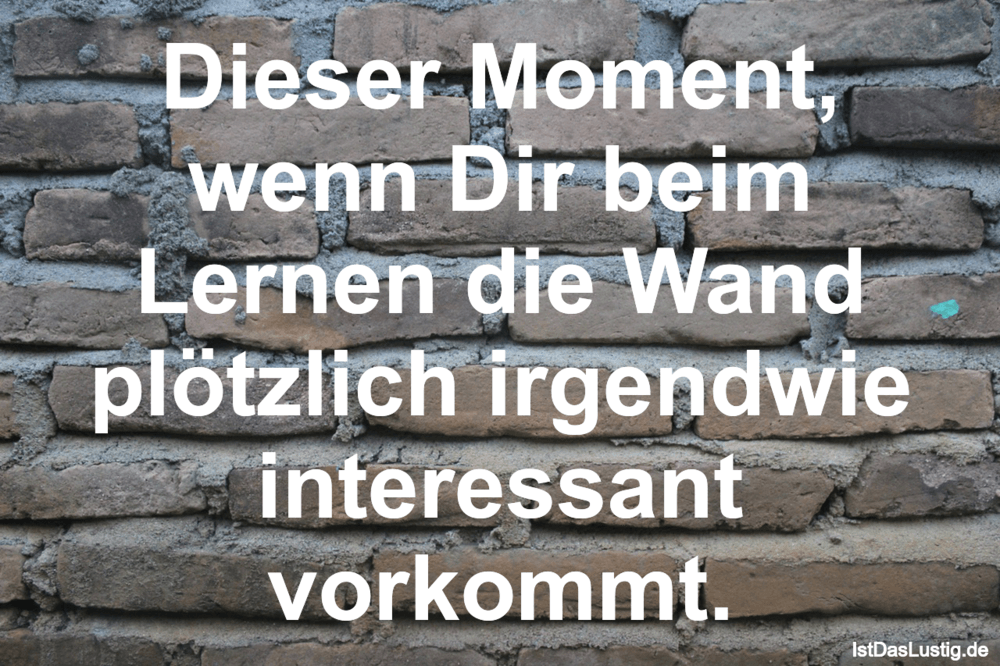 Lustiger BilderSpruch - Dieser Moment, wenn Dir beim Lernen die Wand pl...