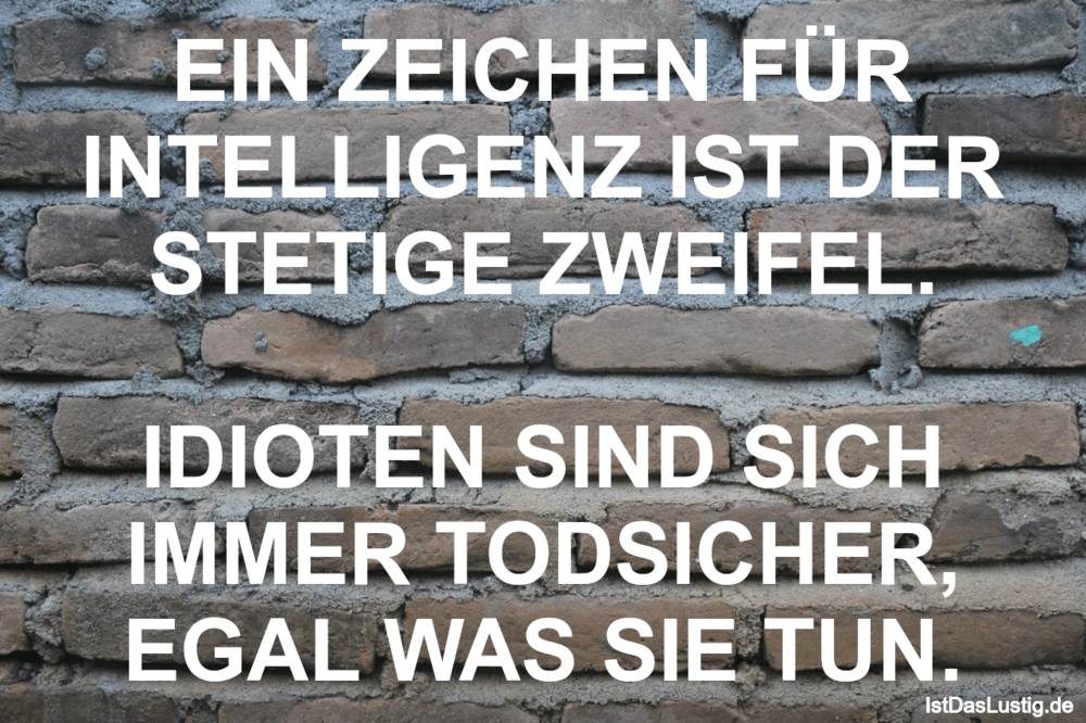Die Besten 12 Idioten Spruche Auf Istdaslustig De