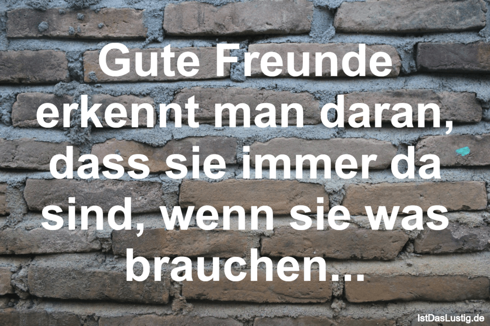 Die Besten 62 Freunde Spruche Auf Istdaslustig De
