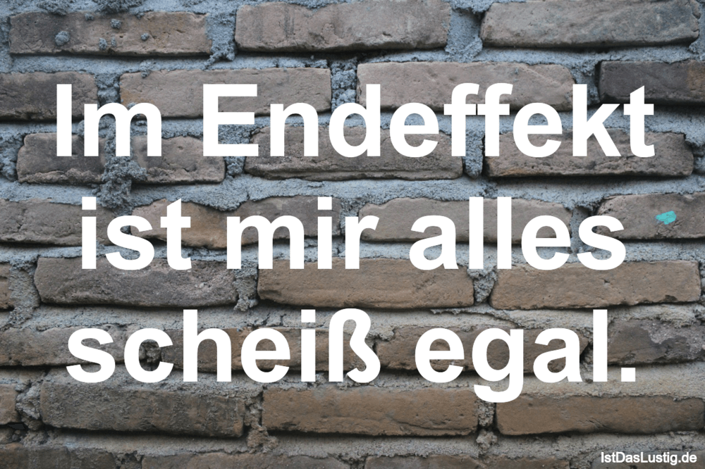 Im Endeffekt Ist Mir Alles Scheiss Egal Istdaslustig De