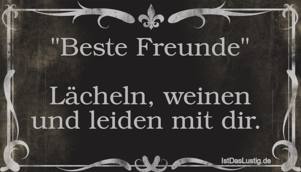 Die Besten 62 Freunde Spruche Auf Istdaslustig De