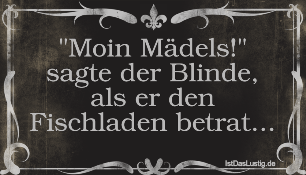 Lustiger BilderSpruch - "Moin Mädels!" sagte der Blinde, als er den Fis...