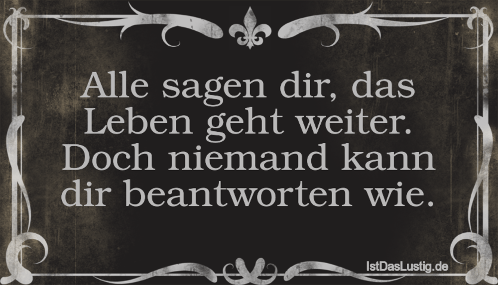 Lustiger BilderSpruch - Alle sagen dir, das Leben geht weiter. Doch nie...