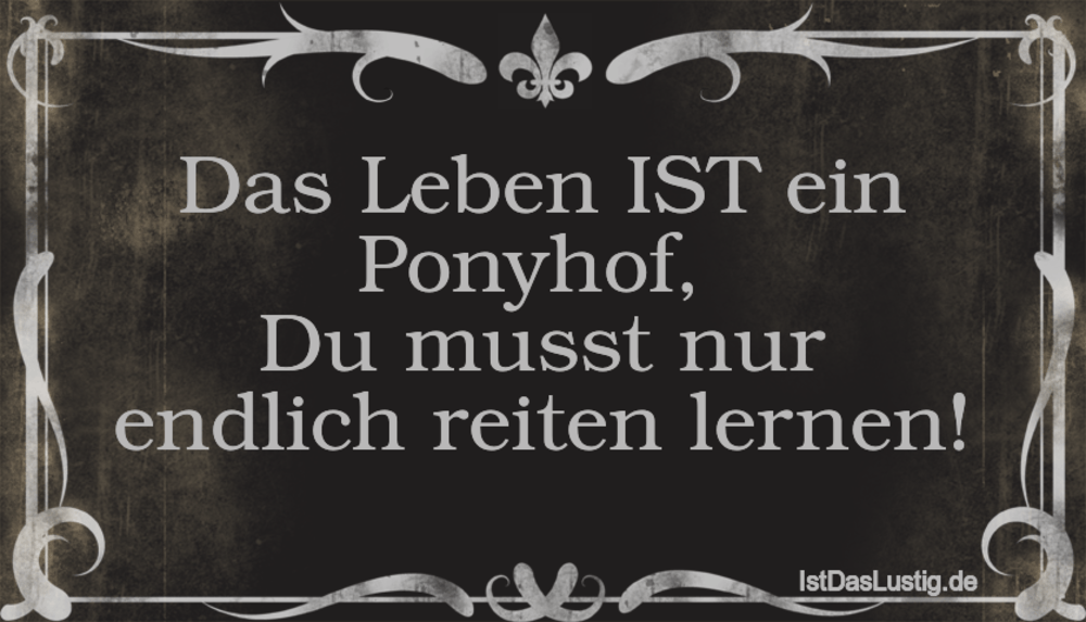 Lustiger BilderSpruch - Das Leben IST ein Ponyhof,  Du musst nur endlic...