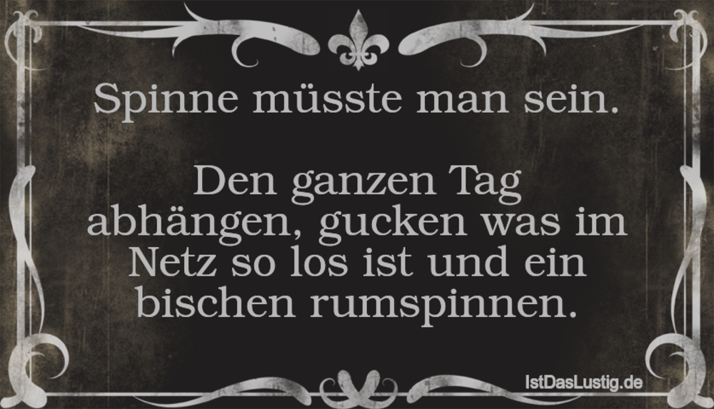 Download Spinnen sprueche For Free Spinnen Sprueche
