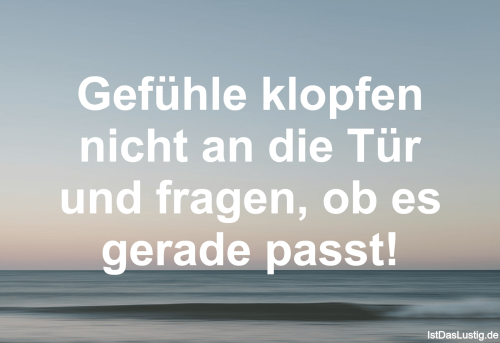 Lustiger BilderSpruch - Gefühle klopfen nicht an die Tür und fragen, ob...