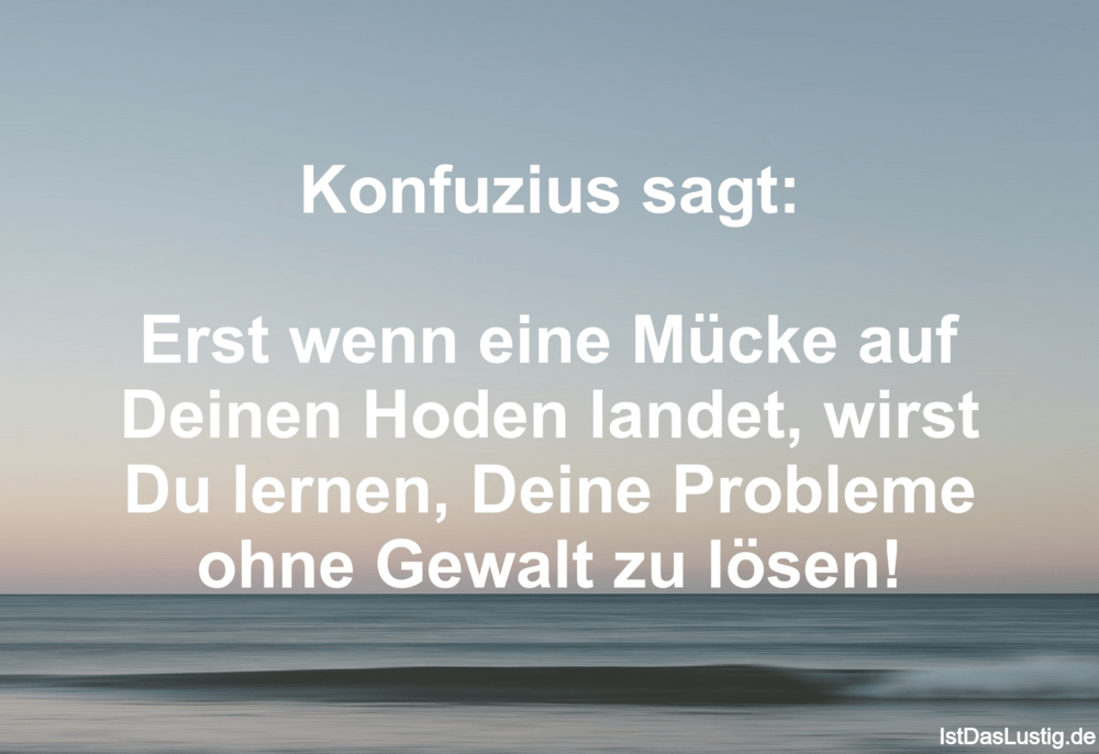 Konfuzius Sagt Erst Wenn Eine Mucke Auf Deine Istdaslustig De
