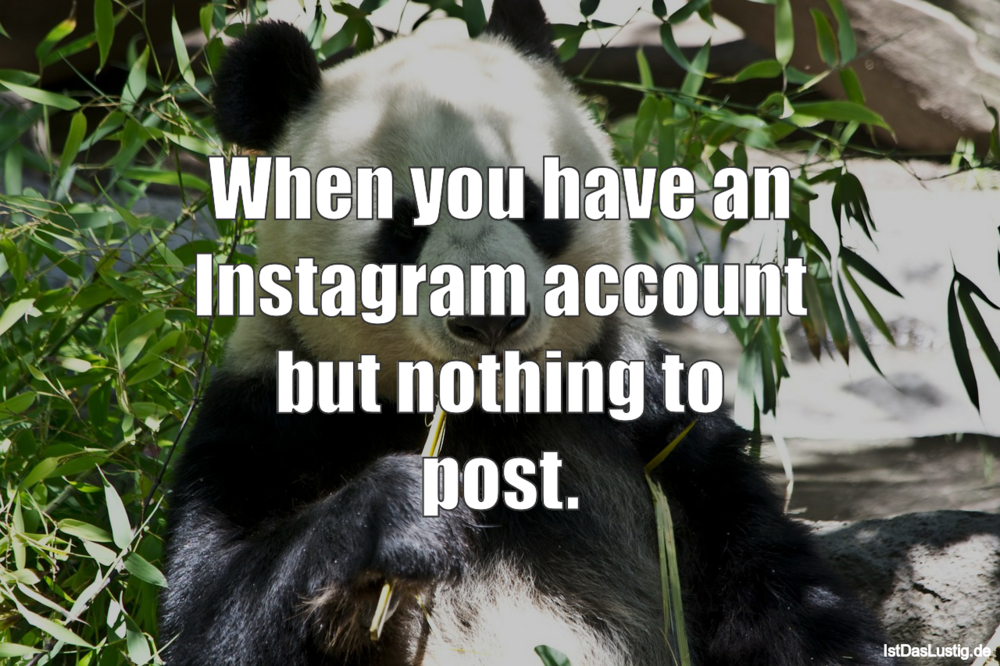 Lustiger BilderSpruch - When you have an Instagram account but nothing...