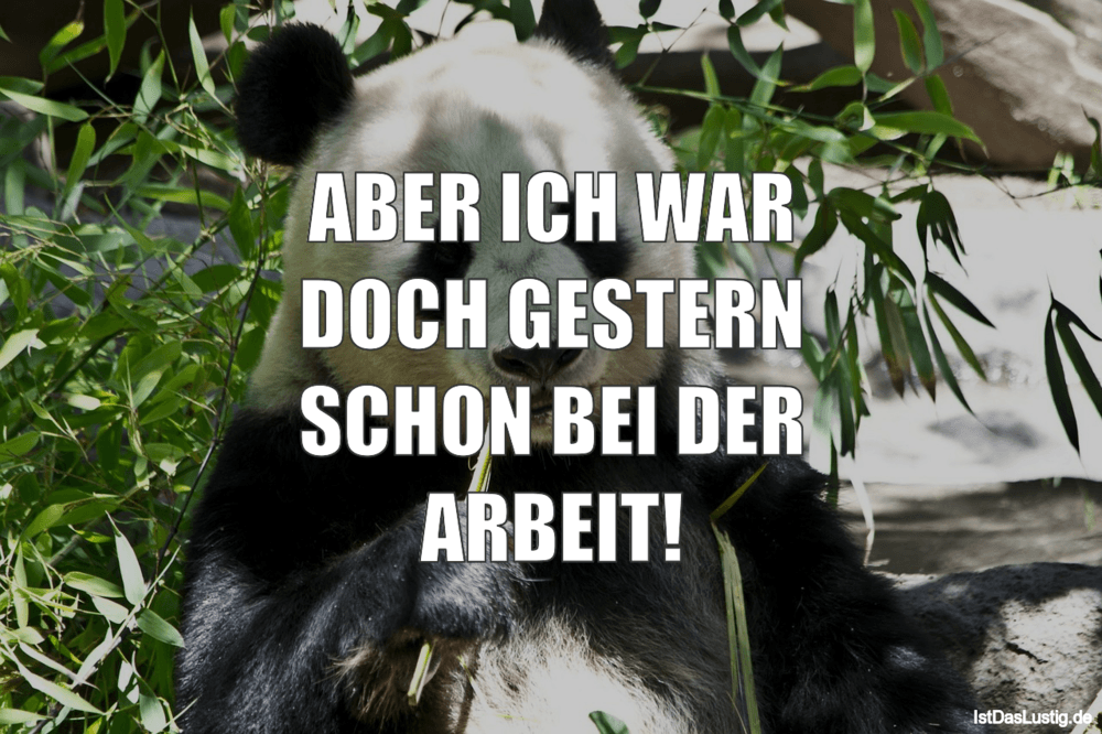 Get Aber Ich War Doch Gestern Schon Bei Der Arbeit Istdaslustig De Desktop Wallpaper Wallpaper Aber Ich War Doch Gestern Schon Bei Der Arbeit Istdaslustig De For Android Free