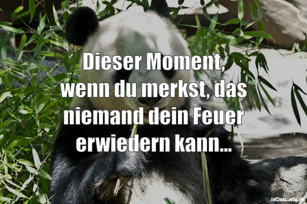 Download Feuer sprueche lustig For Android Feuer Sprueche Lustig