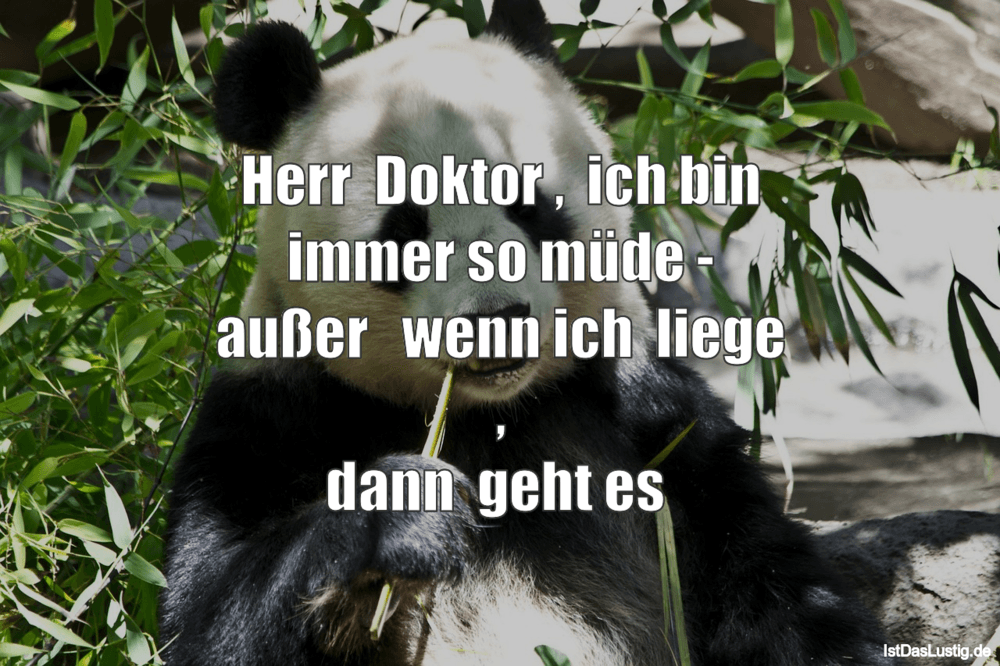 Schonen Guten Morgen Spruche Und Bilder Fur Ganz Fruh Morgens