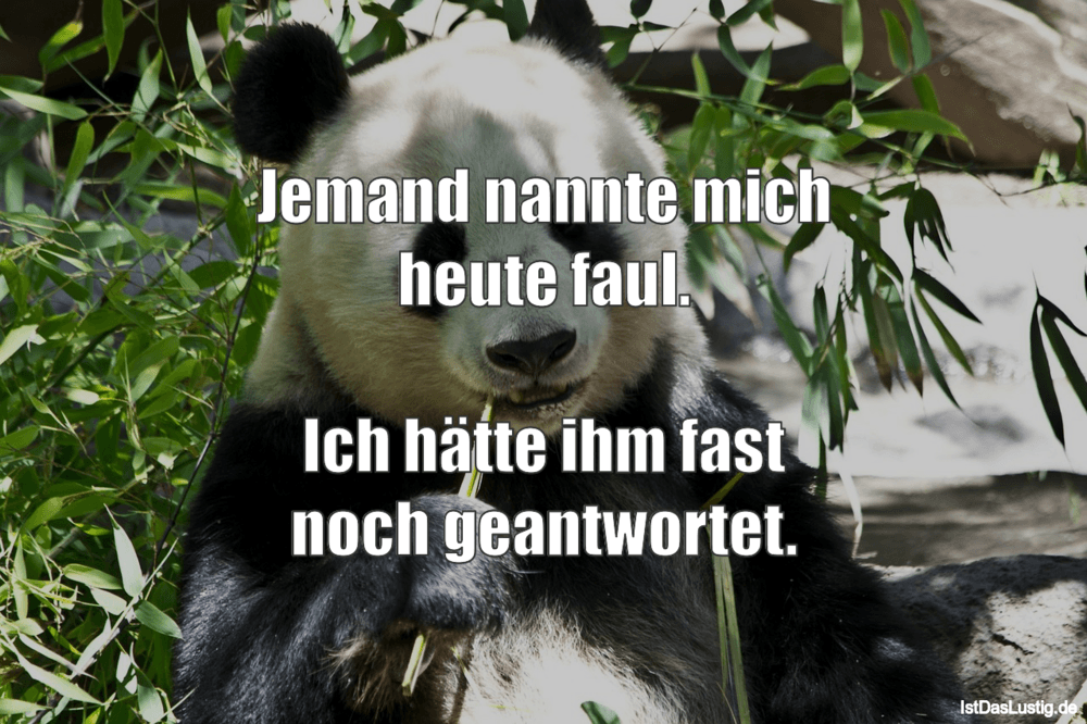 Ich Beobachte Euch Schon Eine Ganze Weile Ihr Seid Alle Faul