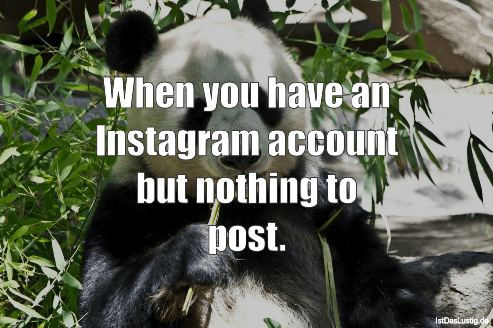 Die Besten 4 Instagram Spruche Auf Istdaslustig De