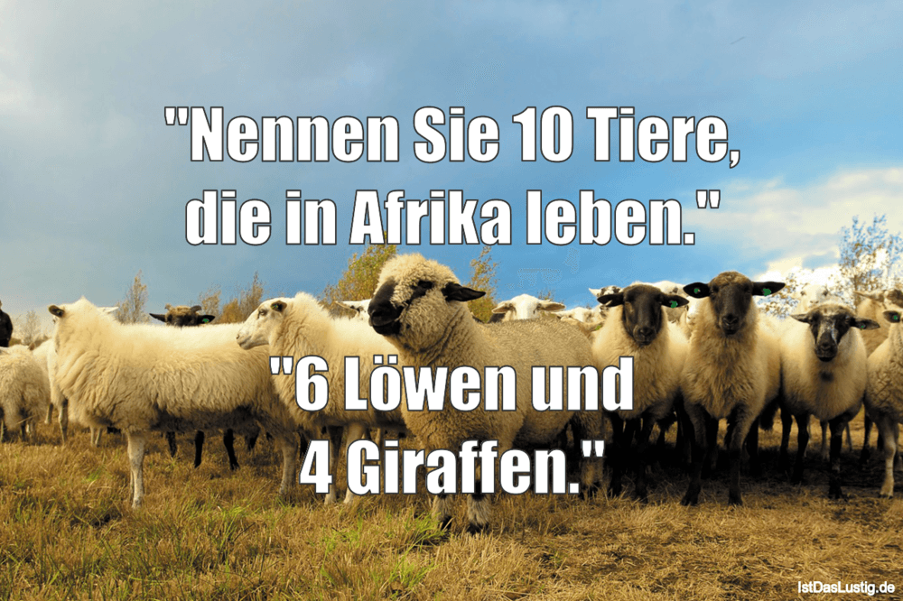 Lustiger BilderSpruch - "Nennen Sie 10 Tiere, die in Afrika leben."  "6...