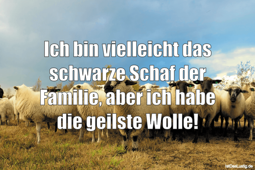 Lustiger BilderSpruch - Ich bin vielleicht das schwarze Schaf der Famil...