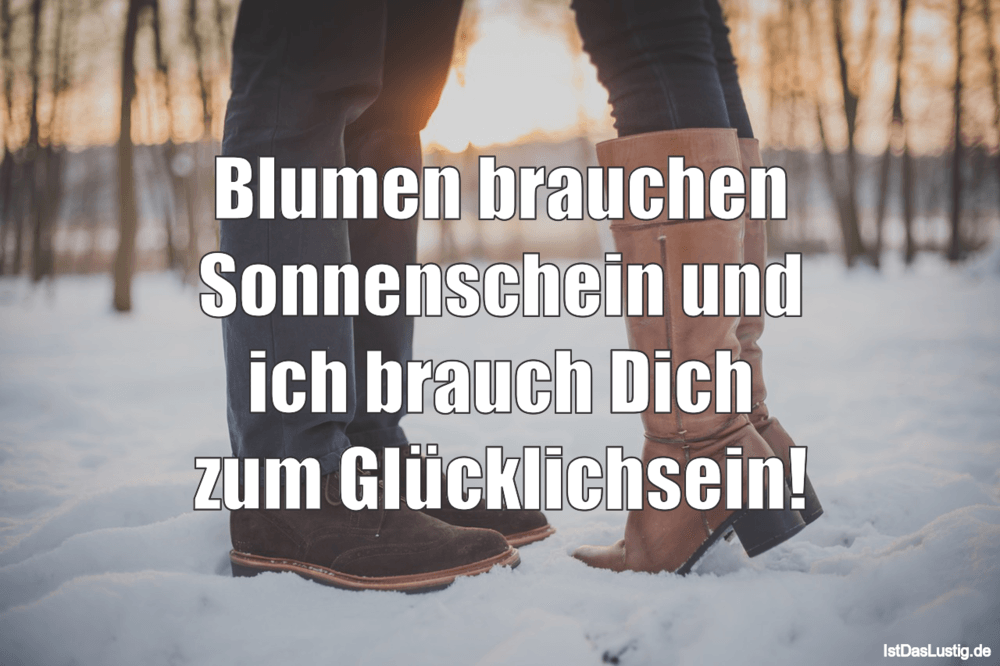 Blumen Brauchen Sonnenschein Und Ich Brauch Dic