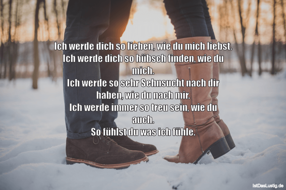 Ich werde dich so lieben, wie du mich liebst. I ...