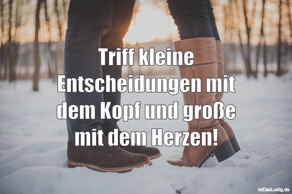 Lustiger BilderSpruch - Triff kleine Entscheidungen mit dem Kopf und gr...