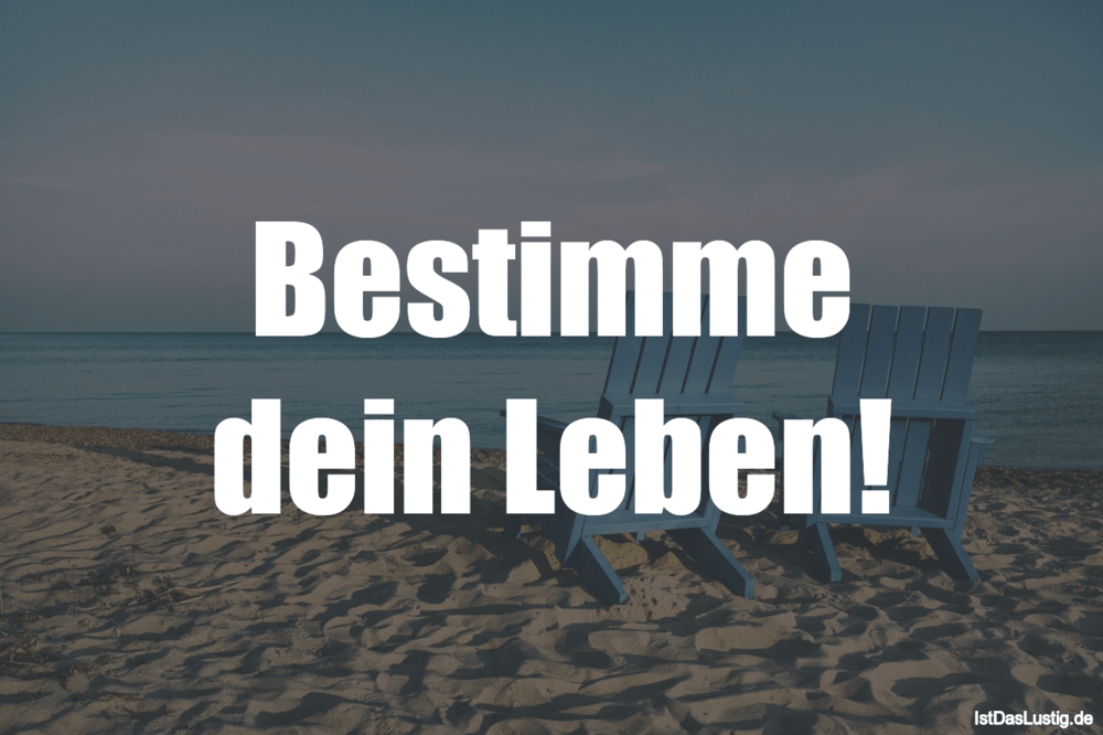 Lustiger BilderSpruch - Bestimme dein Leben!