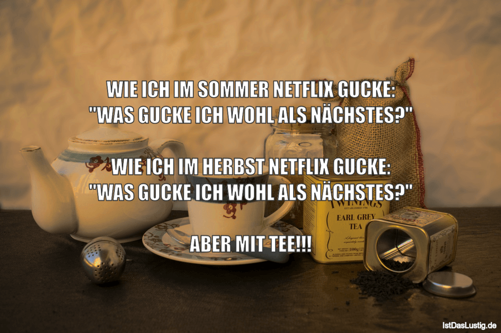 Lustiger BilderSpruch - WIE ICH IM SOMMER NETFLIX GUCKE: "WAS GUCKE ICH...