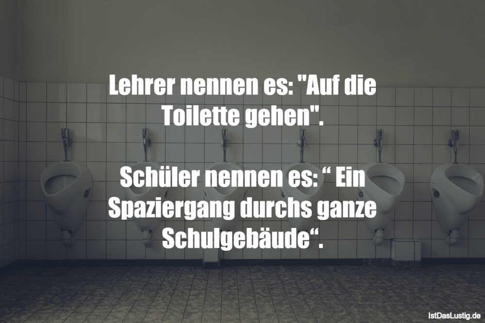Download Maenner sind wie toiletten sprueche Free Maenner Sind Wie Toiletten Sprueche