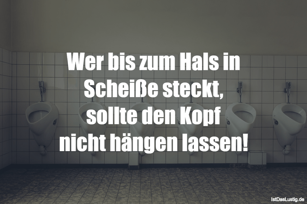 Wer Bis Zum Hals In Scheisse Steckt Sollte Den