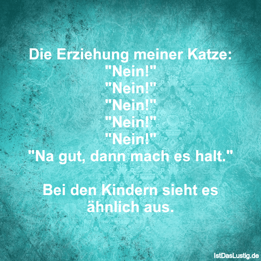 Download Erziehung sprueche kinder lustig HD Erziehung Sprueche Kinder Lustig