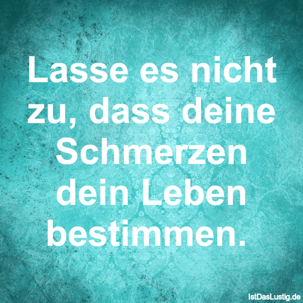 Lustiger BilderSpruch - Lasse es nicht zu, dass deine Schmerzen dein...