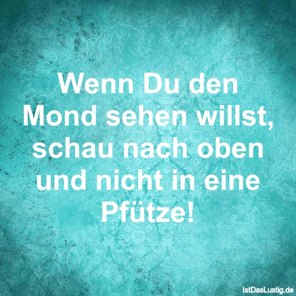 Wenn Du den Mond sehen willst, schau nach oben IstDasLustig.de Wenn Du den Mond sehen willst, schau nach oben IstDasLustig.de
