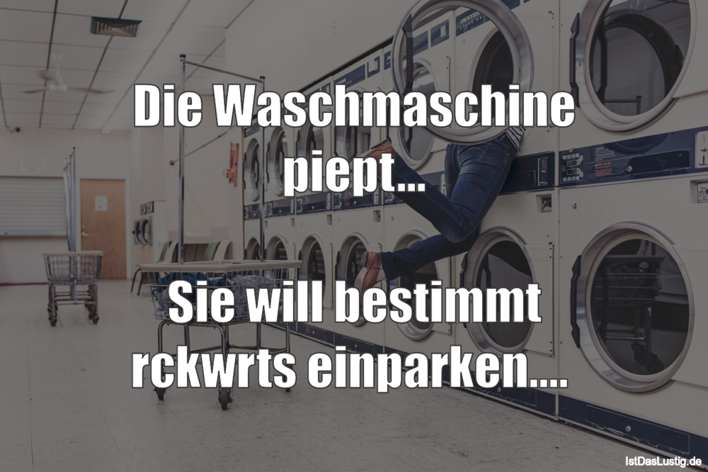 Lustiger BilderSpruch - Die Waschmaschine piept...  Sie will bestimmt...
