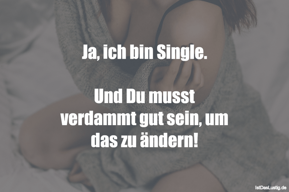 Lustiger BilderSpruch - Ja, ich bin Single.  Und Du musst verdammt gut ...