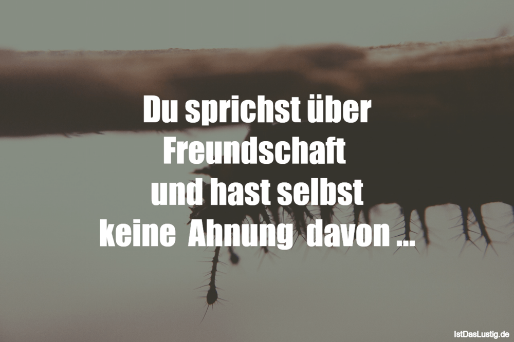 Download Du hast keine ahnung sprueche For Android Free Du Hast Keine Ahnung Sprueche