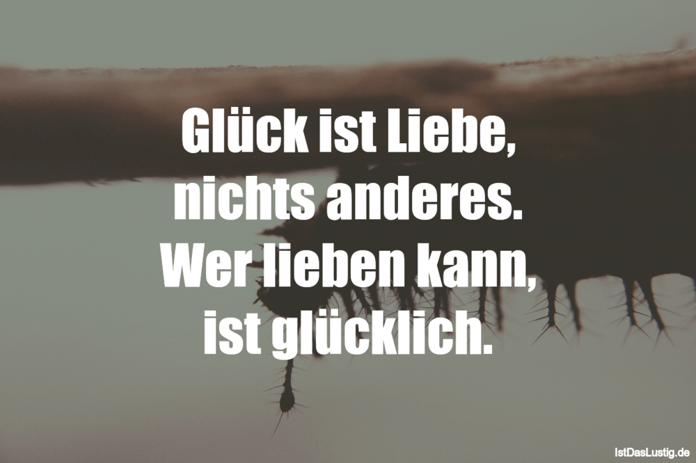 Lustiger BilderSpruch - Glück ist Liebe, nichts anderes. Wer lieben kan...