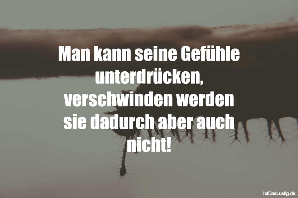 Lustiger BilderSpruch - Man kann seine Gefühle unterdrücken, verschwind...